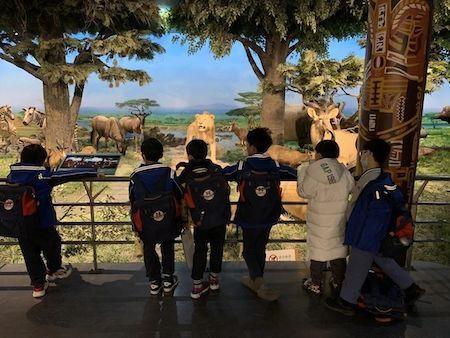 北京致知学校