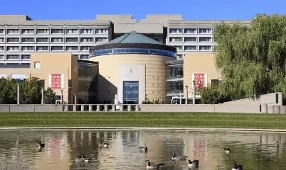 加拿大约克大学