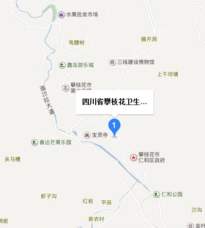 攀枝花卫生学校地址在哪里