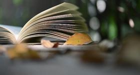  留学预备课程二级