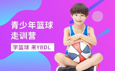 篮球走训营