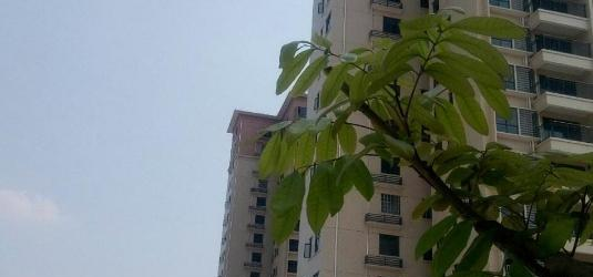 肇庆高要技工学校2020年招生办