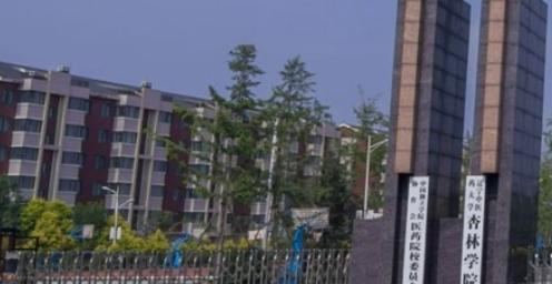 辽宁中医药大学杏林学院录取规则2023年