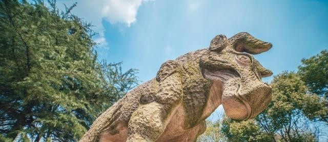 上饶职业技术学院单招成绩查询时间