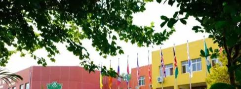 北京私立树人瑞贝学校初中部2023年招生政策