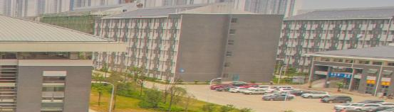 安徽涉外经济职业学院2020年有哪些专业