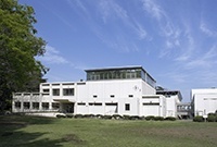 国际基督教大学