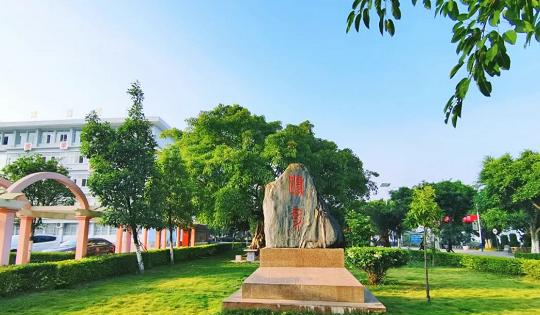 截图_20211116125500