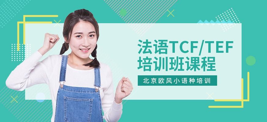 法语TCF/TEF强化培训班