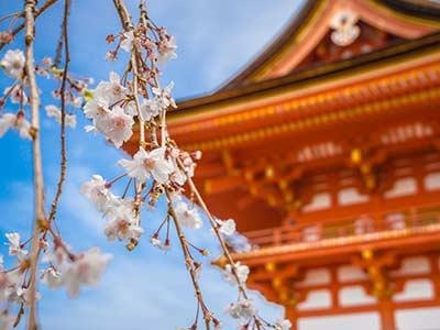 日语培训课程
