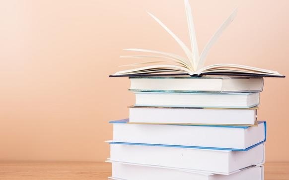 一样用葡萄牙语怎么说