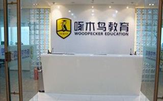 广州啄木鸟教育