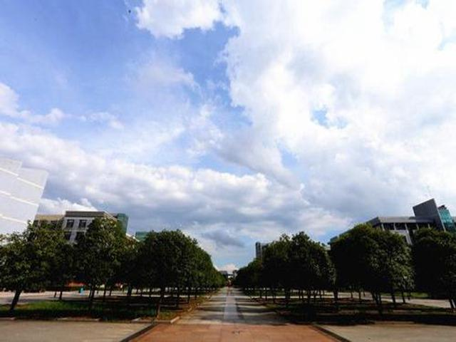 校园风采（四）
