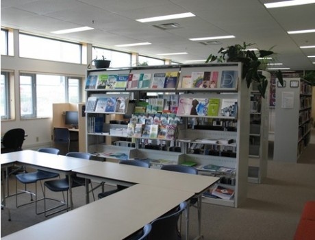 极光学院