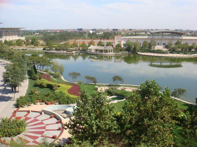 校园风景（四）