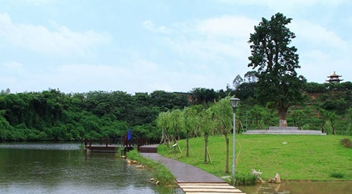 重庆工商职业学院2022年招生办