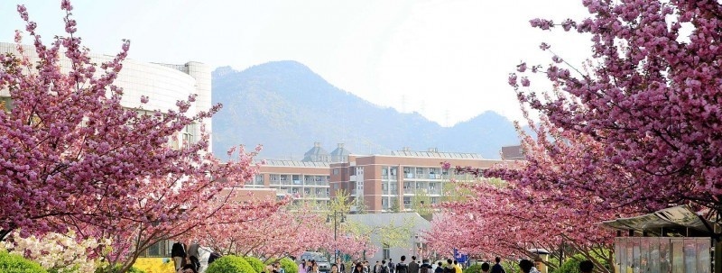 山东外贸职业学院单招报名条件