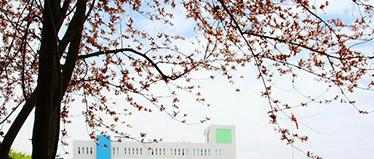 四川省藏文学校