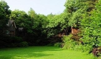 晨山学校