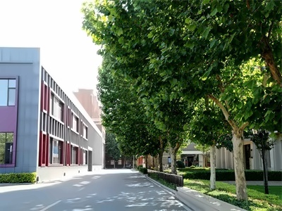 北京市新学道临川学校国际部 日本国际高中日本高中艺术班