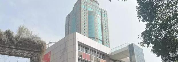 深圳蛇口国际学校小学部2023年报名条件、招生要求、招生对象