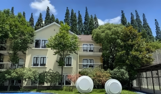 上海美高双语学校2025年招生信息