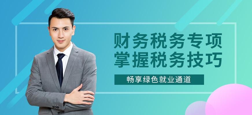 财务税务专项实训