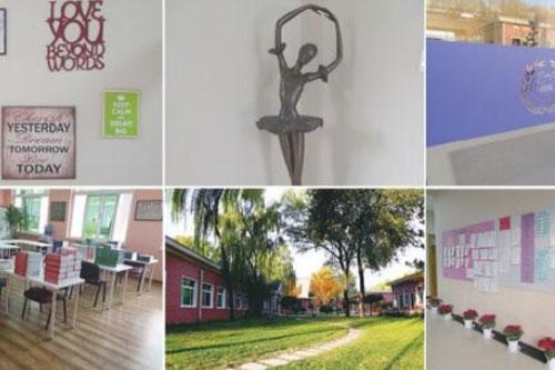 清华志清国际部