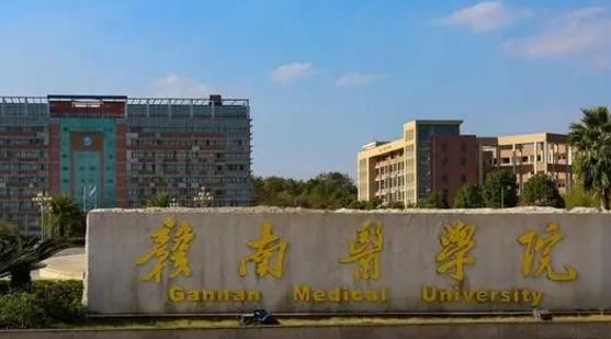 赣南医学院排名(全国)赣南医学院在江西排名