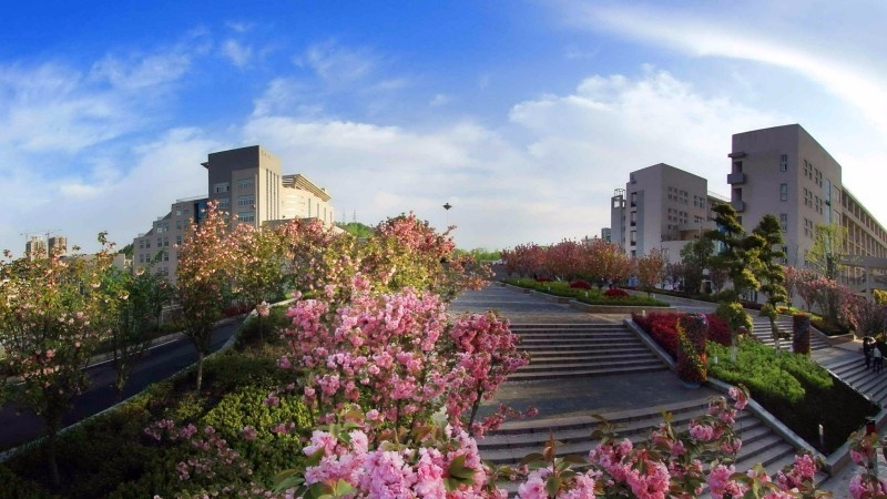 湖北工业职业技术学院单招报名条件