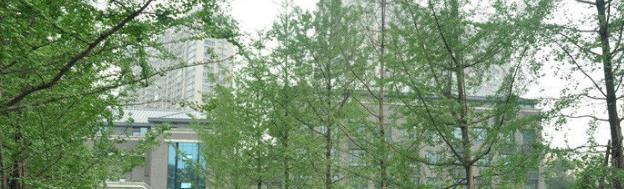 截图20181106144236