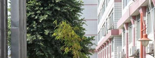 湛江华南职业技术学校怎么样、好不好