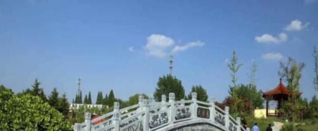 徐州爱尔国际学校初中部地址在哪里