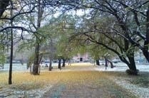 中国医科大学网络教育学院