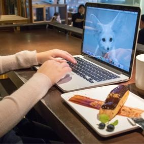 设计、美工、技术提升