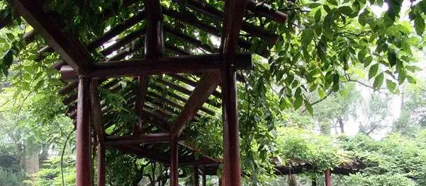 江苏省苏州第十中学怎么样、好不好(2023参考)