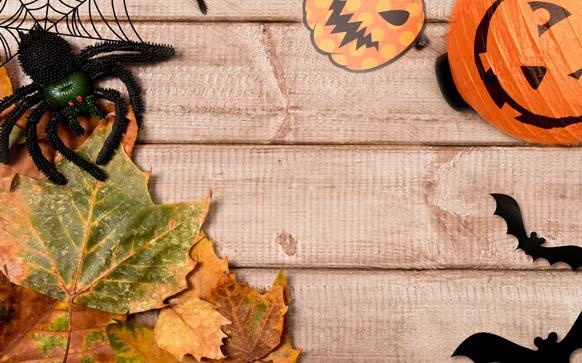 “蜘蛛式”记忆法