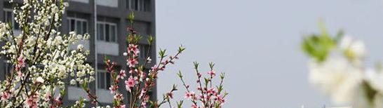 安徽新华学校2020年招生办 