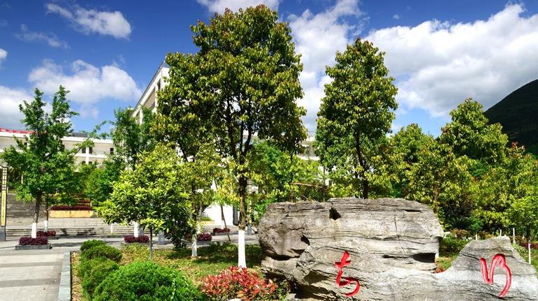 重庆酉阳县职业教育中心网站