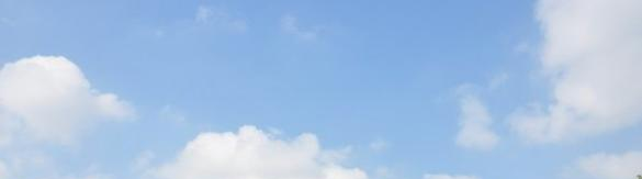 武汉东西湖职业技术学校7