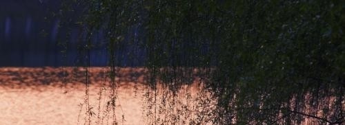 江西新能源科技职业学院单招报名条件