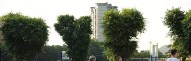截图_20211025212227