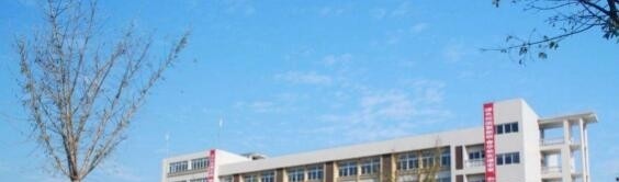 重庆工贸职业技术学院2019年单招录取分数线