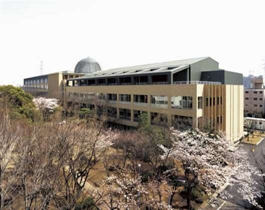 羽衣国际大学