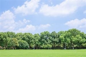 首都经济贸易大学.jpg