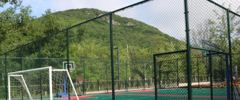 沈阳加拿大外籍人员子女学校小学部2020年招生办