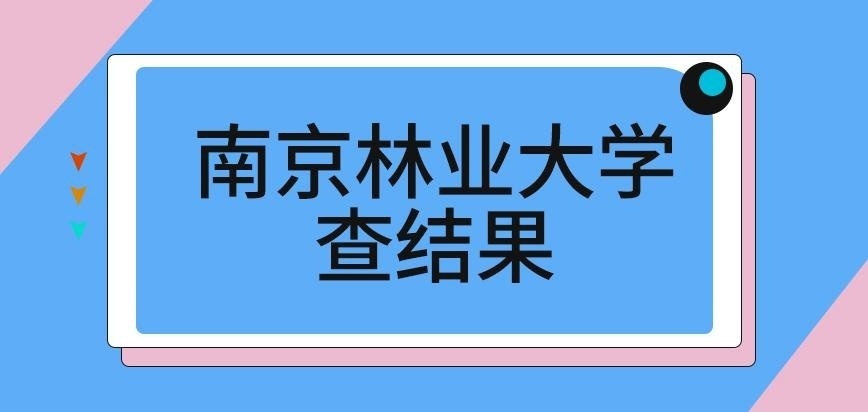 南京林业大学在职研究生查结果