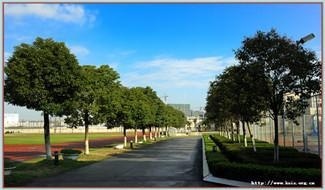 校园风采