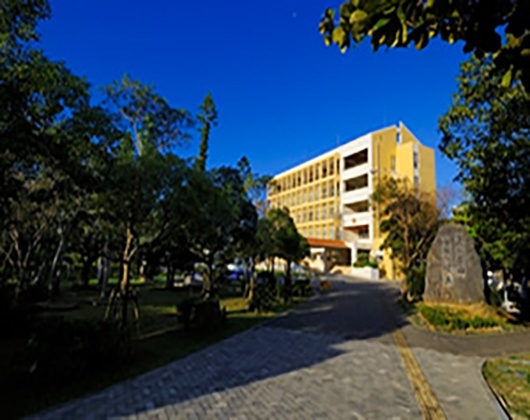 冲绳国际大学