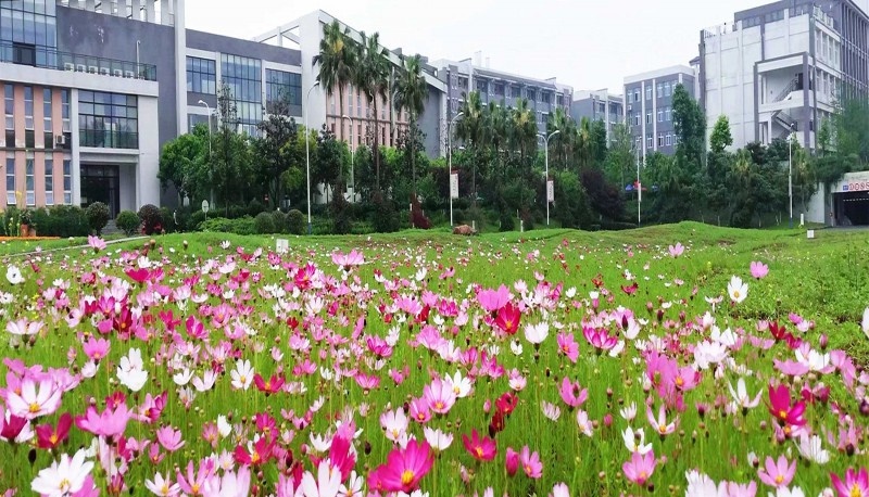 重庆商务职业学院